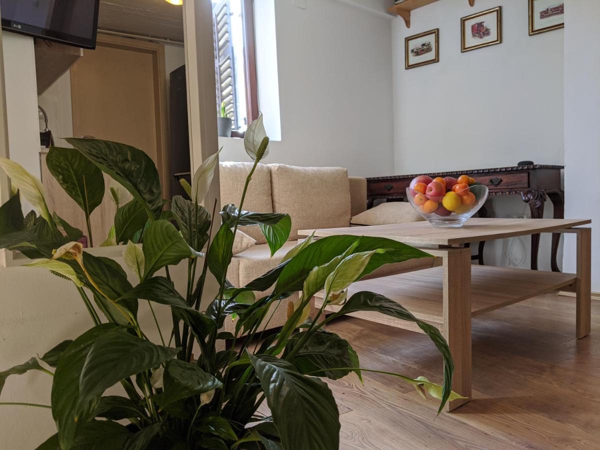 Twin-Magnolias Condo With Garden, Parking & Ev Station 자그레브 외부 사진