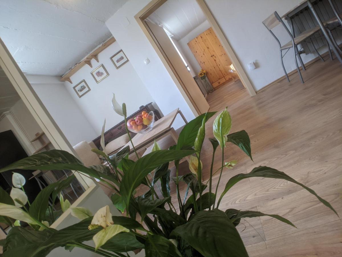 Twin-Magnolias Condo With Garden, Parking & Ev Station 자그레브 외부 사진